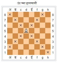 उंट (Bishop), Chess Information In Marathi