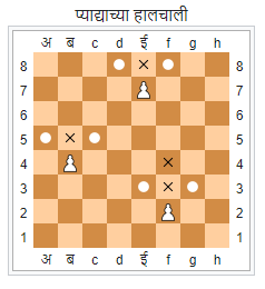 प्यादे (Pawn), Chess Information In Marathi